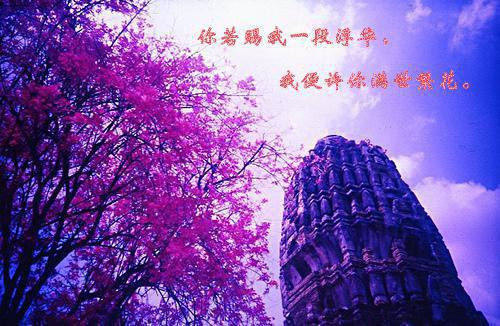千金归来：丑小鸭本是白天鹅今年热门小说（黎小鸭盛玉霄）免费阅读全文_完结版全文小说黎小鸭盛玉霄在线阅读