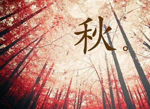 夜安锦付余生热门小说(夜安锦付余生)全文阅读