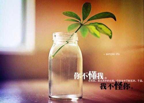程轻语谈戚言全文免费阅读无弹窗大结局_（程轻语谈戚言小说）程轻语谈戚言最新章节列表（程轻语谈戚言）
