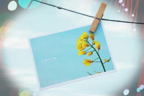 佚名写的小说杜桑婉裴凛安阅读