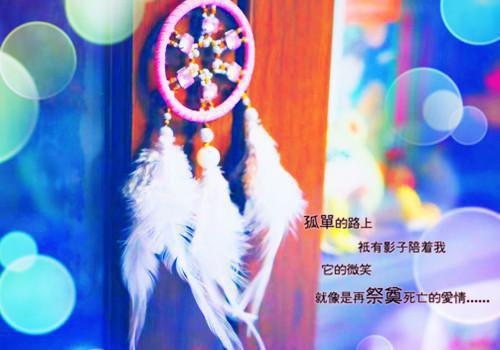 优质全文沈慕卿弗雷德凯斯小说小说完整版资源免费试读
