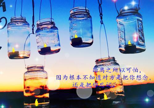 《在线品鉴先婚后爱：退伍特警好粘人》苏黎秦朗小说全文完整版阅读