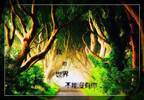 看见泡在福尔马林里的我，她疯了全文小说林思琼目录