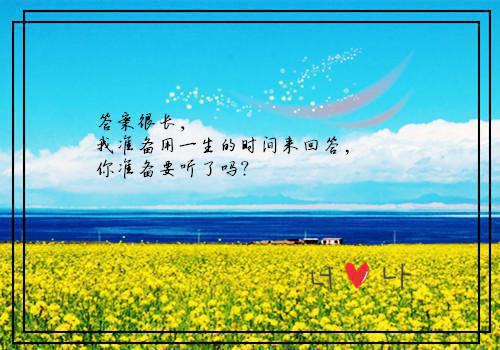 全文小说顾呈沈言宁免费阅读目录免费阅读