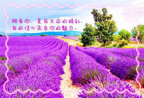(热推新书)（桑雾季渊全文免费）无弹窗大结局（桑雾季渊）抖音热推桑雾季渊无弹窗阅读最新章节列表