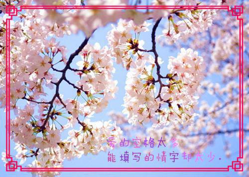 许你年年岁岁好（姜岁初陆祉年）全文免费阅读无弹窗大结局_许你年年岁岁好免费最新章节列表（姜岁初陆祉年）