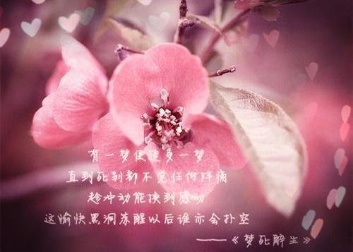 佚名写的小说杜益周清杜玲小说大结局阅读