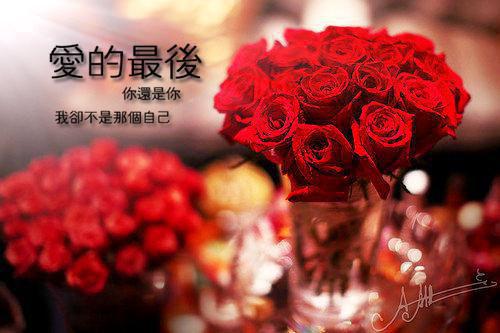 佚名写的小说颜茵牧云骁全本小说阅读