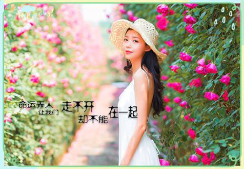华玥凰冯默宁（华玥凰冯默宁）全文免费阅读无弹窗大结局_华玥凰冯默宁最新章节（华玥凰冯默宁）