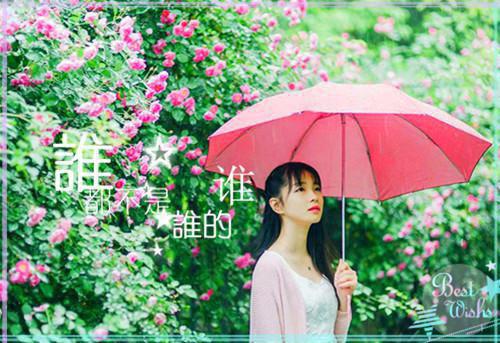 吃猫的鱼的小说绝地求生之我就是开挂了晓哥哥叶晓全文在线阅读