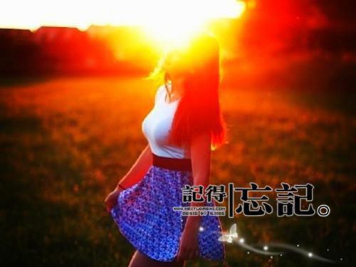 踏宫行免费小说唐乐薇萧映行全章节阅读
