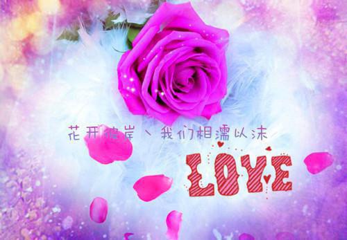 感动温暖正能量句子
