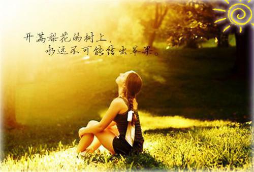 免费小说厄运鬼话之闻味识魂大结局by陆新完结版阅读