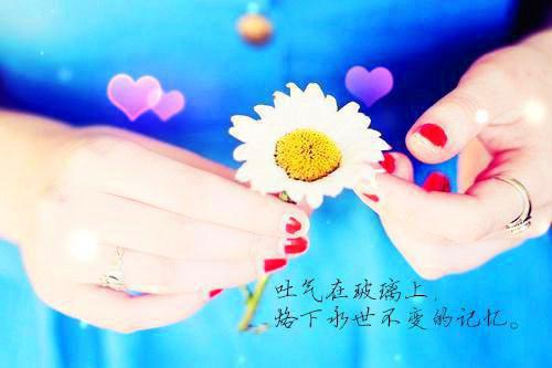 小说耍大牌女星还需富婆治全文阅读易卿袁美美完结版阅读