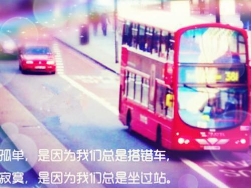 火爆情节穿越七零，傲娇军官被我撩爆了全章节小说苏安安陆景琛完结版阅读