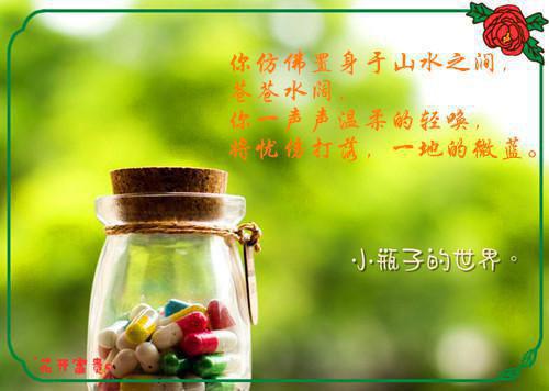 倾心编著被算计离家后，我闪婚崽他豪门亲爹虞笙温竹卿全本免费小说目录试读