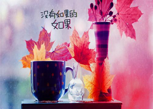 章毓卿陆惟方墨,罗丹扬,章夫人小说_章毓卿陆惟免费阅读