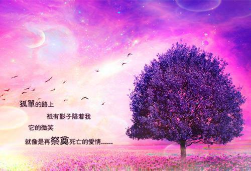 甜蜜相杀全文免费梁颂年沈觅读无弹窗大结局_（甜蜜相杀）甜蜜相杀最新章节列表（梁颂年沈觅）
