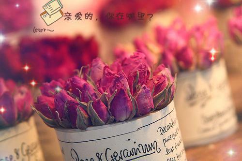 全本免费小说高口碑在线 医妃有毒，禁欲太子别害怕上官曦雁未迟完结版阅读