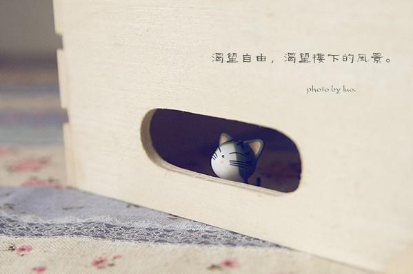 江菱陆应(江菱陆应)全文免费阅读无弹窗大结局_(江菱陆应)江菱陆应无弹窗最新章节列表（江菱陆应)