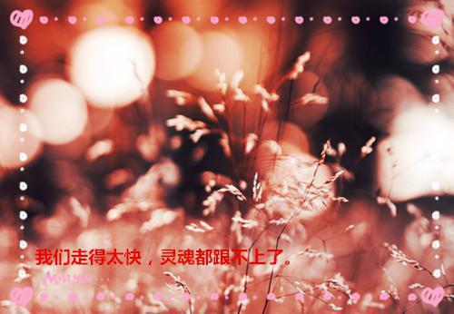 夏之妍顾忱全章节_夏之妍顾忱小说阅读