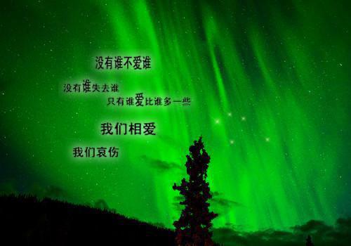 不与梨花同梦盛听晚楚怀战小说_不与梨花同梦免费阅读