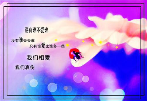 不爱他后他追悔莫及全文小说免费_林允舒宋时宴精彩阅读