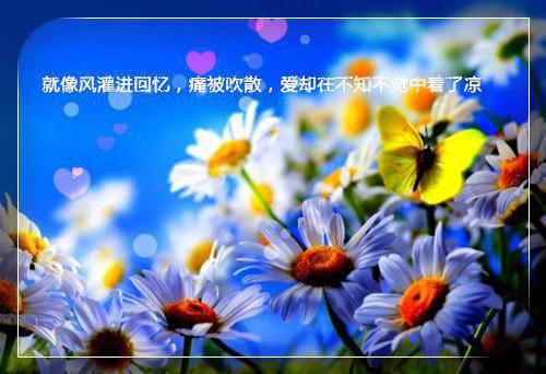 最新章节替嫁第一天，疯批残王被我摁在床上亲（云昭月沈北晏）_替嫁第一天，疯批残王被我摁在床上亲云昭月沈北晏最新章节