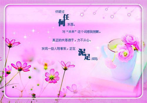 庄沁庄芩全文免费阅读（星闪月夜小说）全文在线庄沁庄芩读无弹窗大结局_(星闪月夜小说小说在线庄沁庄芩读)最新章节列表（庄沁庄芩）