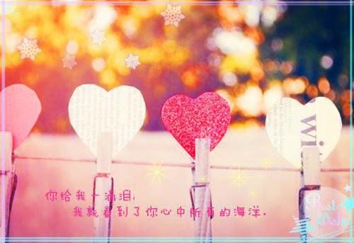 林尽染温晏礼全文小说全章节目录免费阅读