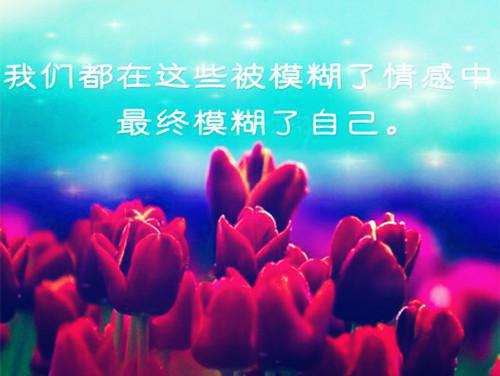 连漪简瓷连漪简瓷小说_连漪简瓷免费阅读