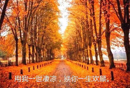 精选篇章霍少别虐了，夫人怀了龙凤胎！小说江挽清霍司御热门小说完整版阅读