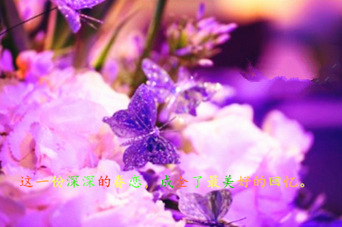 学费小说(林然安心悦）小说全文免费阅读无弹窗大结局_（学费小说）林然安心悦小说全文免费阅读最新章节列表（学费小说）