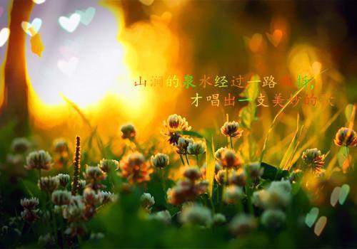 佚名的小说穆楠骆景屹穆楠骆景屹完结版阅读