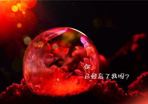 我被面冷心狠的王爷宠翻天（阮棠楚穆）全文免费阅读无弹窗大结局_我被面冷心狠的王爷宠翻天免费阅读（阮棠楚穆）