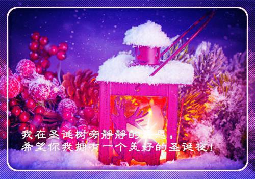 女帝绝望收徒，我给师父送黑丝！小说秦寒陆昭遥热门小说完结版阅读