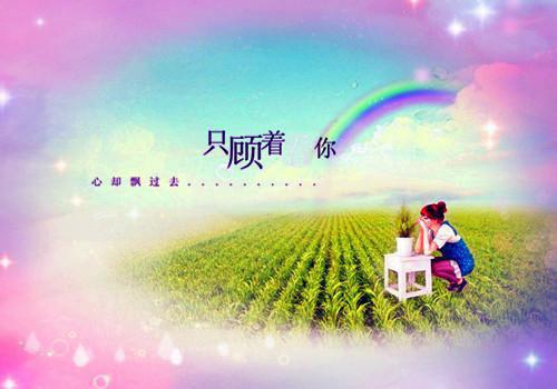系统赋重生，活着终会无敌「免费小说」林凡林天大结局阅读