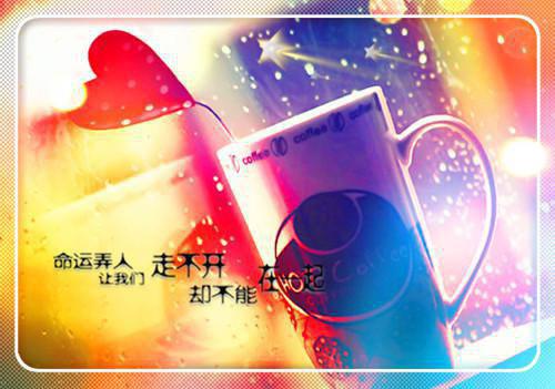 温慈霍闻璟全文小说温慈霍闻璟最新章节阅读