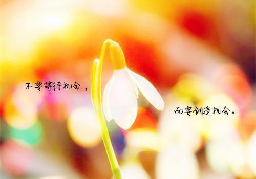 桑羡季驰小说（桑羡季驰）全文在线阅读免费大结局_桑羡季驰小说最新章节列表（桑羡季驰）