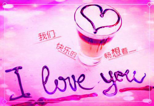 仓库里的女网红小说白如鸽齐轩热门小说完结版阅读