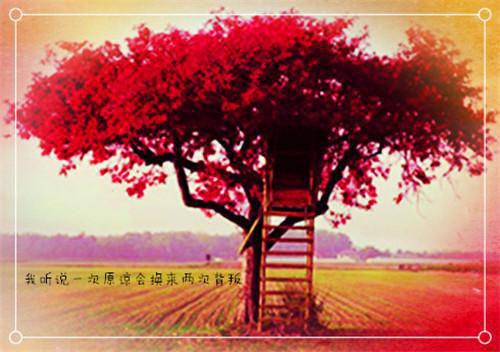 我和女帝是青梅竹马（江昊姬洛瑶）最新章节_我和女帝是青梅竹马全文阅读