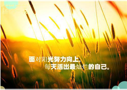 秦时川彭岁晚全文彭岁晚完本在线小说免费阅读