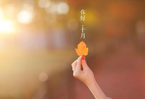 时间是最好的偏方：全文+后续（骆靳言凌语槐）免费一读到底全程无广大结局_骆靳言凌语槐：畅读无广+实时更新独家渠道（时间是最好的偏方）