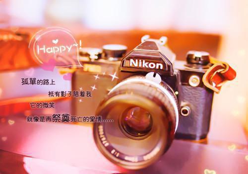 完结文廉宁安许邵年最新章节列表_完结文廉宁安许邵年全文阅读