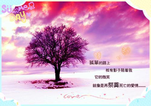 季糖周严琛全章节小说季糖周严琛完结版阅读