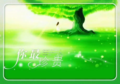 沈瑶陆怀瑾完结版小说全章节目录阅读
