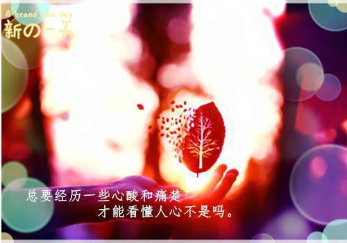 迟来深情比草贱，断绝关系你哭啥（大橘大利）最新章节_迟来深情比草贱，断绝关系你哭啥全文阅读