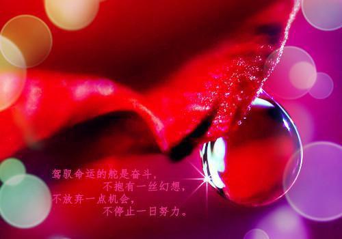正能量失眠了的句子说说心情