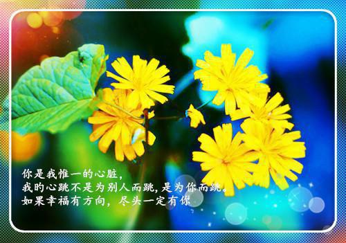 正能量的人生感悟句子 字字珠玑 百读不厌