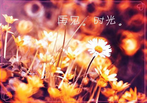 完结版小说言情作品穿成八零童养媳，她成了香饽饽全文免费阅读